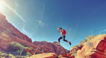 prebiotic food for energy