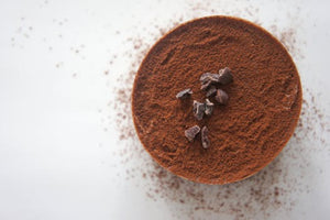 Can You Find Health Food Bars Containing Chocolate Without Soy Lecithin